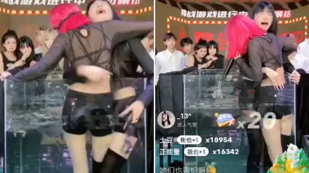 ¡Se fue al carajo! Famosa streamer china baneada por forzar castigos con cocodrilos